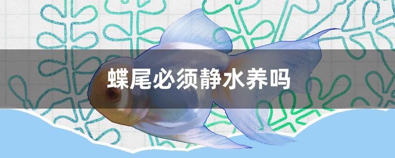 底現(xiàn)棕色、褐色？