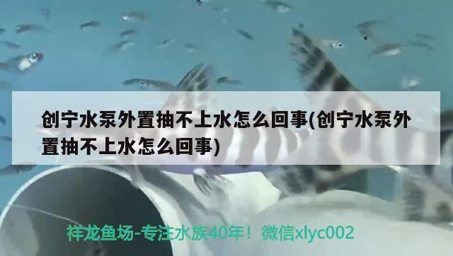 寧水泵外置抽不上水？ 寧水泵外置抽不上水？ 創寧水族 第1張