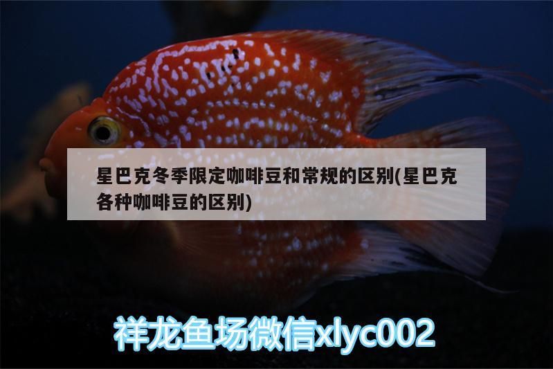 龍魚(yú)干蝦有營(yíng)養(yǎng)嗎 克冬季限定咖啡豆與常規(guī)豆差異全解析(含各類咖啡 馬來(lái)西亞咖啡 克冬季限定咖啡豆與常規(guī)豆差異全解析(含各類咖啡 克冬季限定咖啡豆與常規(guī)豆差異全解析(含各類咖啡 馬來(lái)西亞咖啡