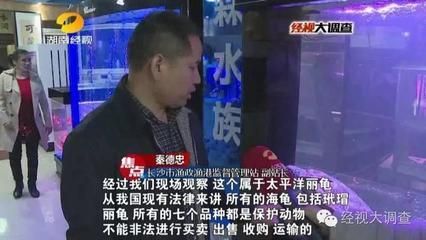 族館辦營(yíng)業(yè)執(zhí)照屬哪類行業(yè)? 水族館百科(水族館加盟) 第3張 族館辦營(yíng)業(yè)執(zhí)照屬哪類行業(yè)? 族館辦營(yíng)業(yè)執(zhí)照屬哪類行業(yè)? 水族館百科(水族館加盟) 第3張