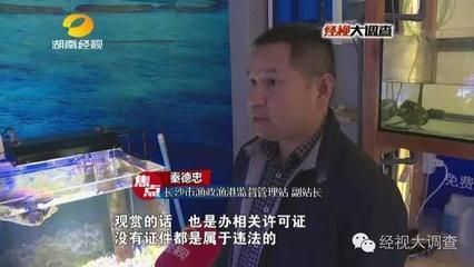 族館辦營(yíng)業(yè)執(zhí)照屬哪類行業(yè)? 水族館百科(水族館加盟) 第5張 族館辦營(yíng)業(yè)執(zhí)照屬哪類行業(yè)? 族館辦營(yíng)業(yè)執(zhí)照屬哪類行業(yè)? 水族館百科(水族館加盟) 第5張