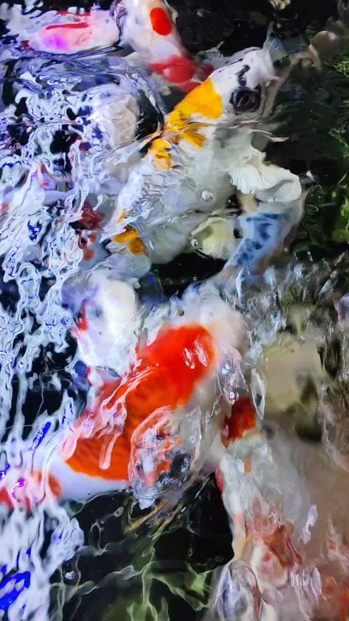 每日簽到，積累小行動，開啟自律與成長新旅程