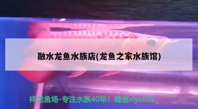 水龍魚水族店（龍魚之家水族館），龍魚愛好者的優質之