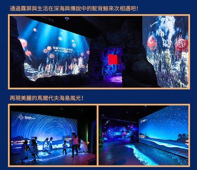 水族館選址攻略,何處適宜開啟奇妙海洋視界之旅 水族館百科(水族館加盟) 第2張 水族館選址攻略,何處適宜開啟奇妙海洋視界之旅 水族館選址攻略,何處適宜開啟奇妙海洋視界之旅 水族館百科(水族館加盟) 第2張