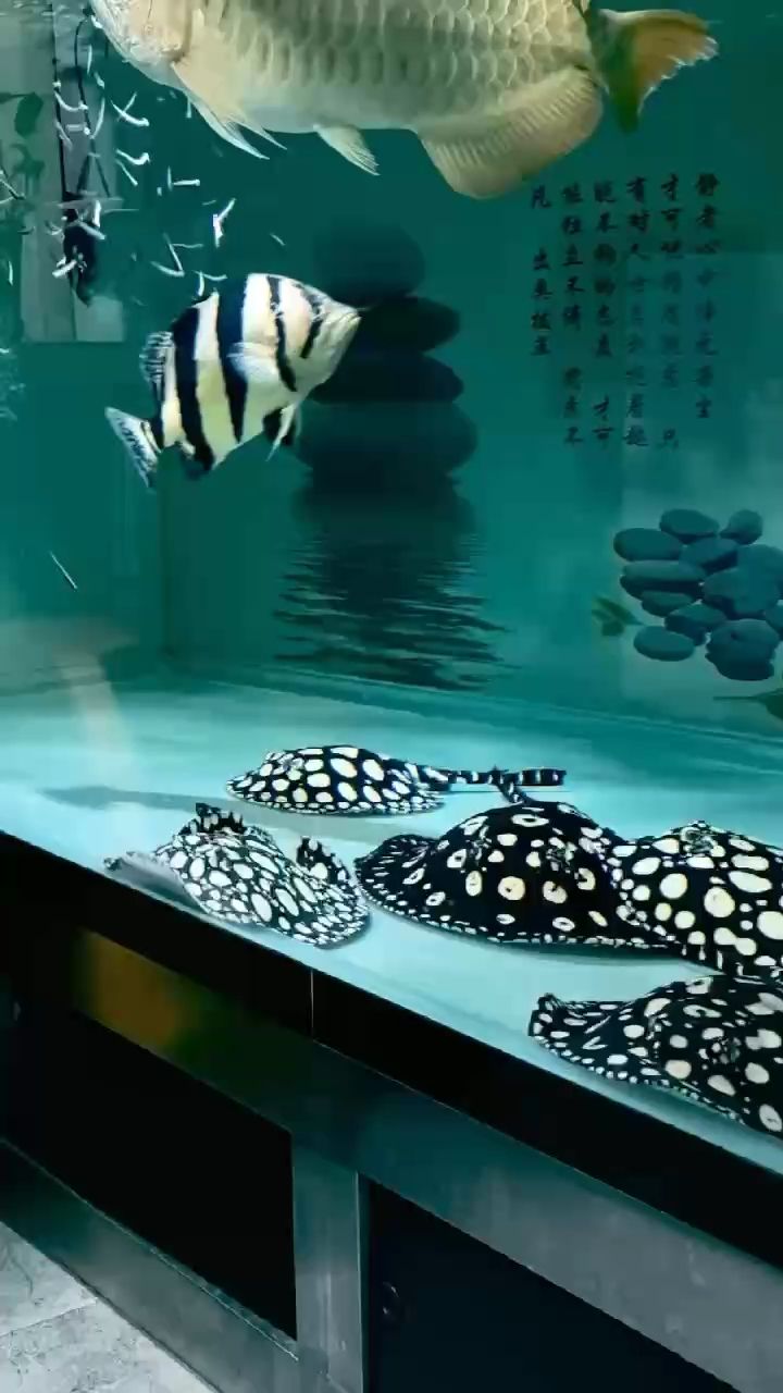 你還未提供具體的內容呀，我暫時沒辦法準確生成合適的長標題呢。