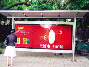 白魚缸養魚攻略，哪些觀賞魚 白魚缸養魚攻略，哪些觀賞魚 天王紅龍