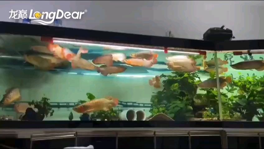 轉發692，探尋背后故事，揭開這個數字的神秘面紗