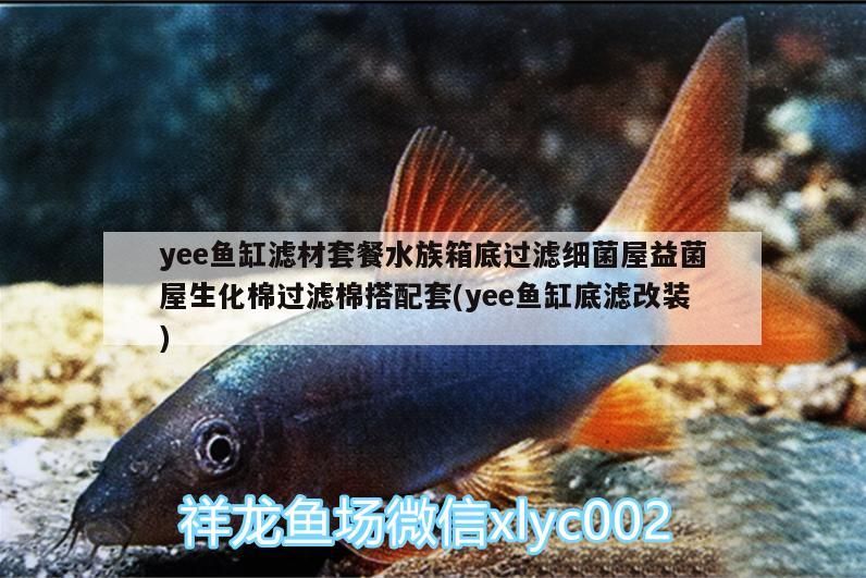 ee魚缸濾材套餐，底濾改裝必備，細菌屋等