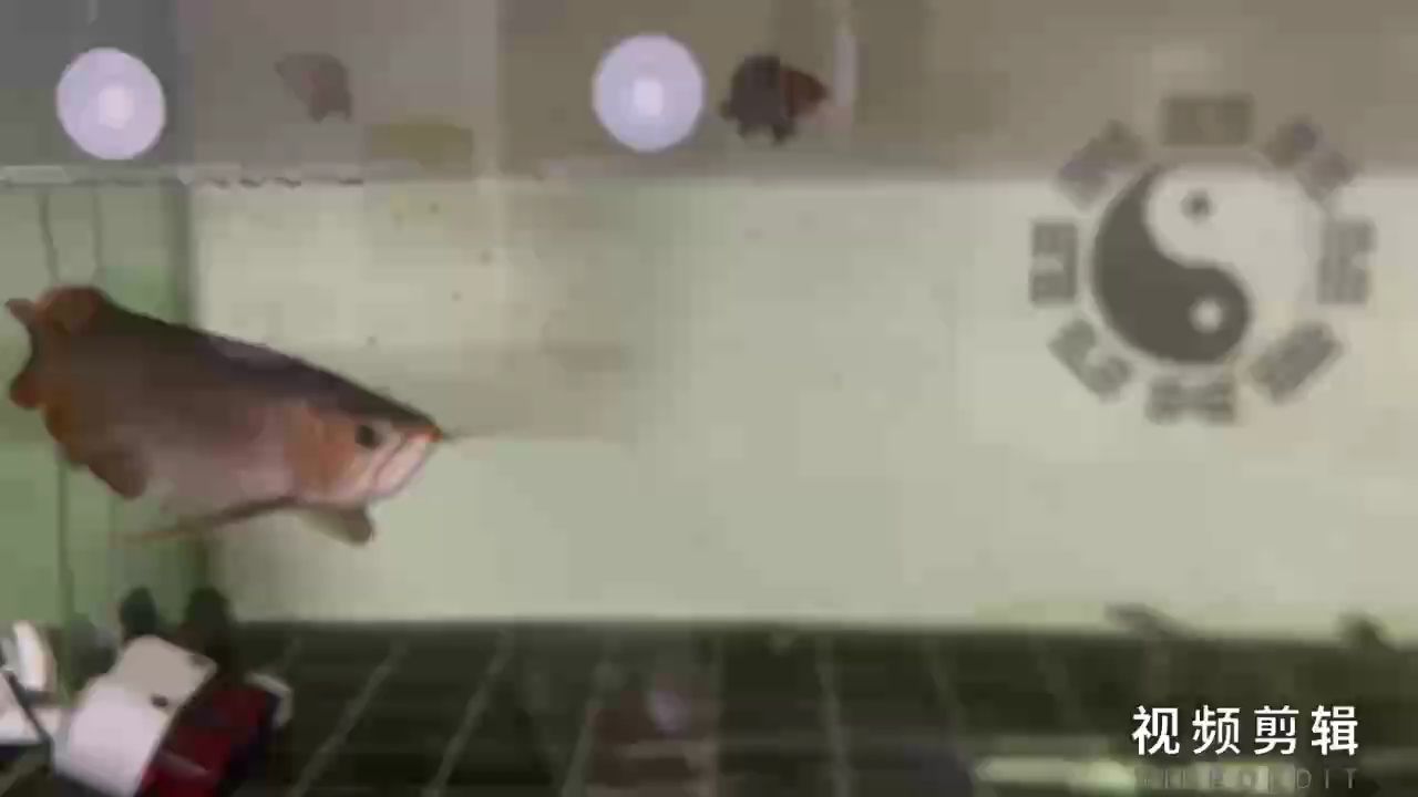 每日簽到，積累小行動(dòng)，解鎖生活大不同與驚喜可能