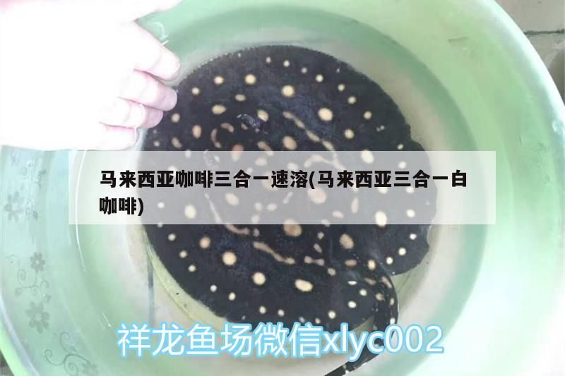 西亞咖啡三合一速溶（白咖啡），便捷醇香，盡 西亞咖啡三合一速溶（白咖啡），便捷醇香，盡 馬來西亞咖啡