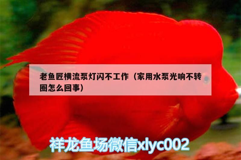 魚匠橫流泵燈閃不工作，家用水泵光響