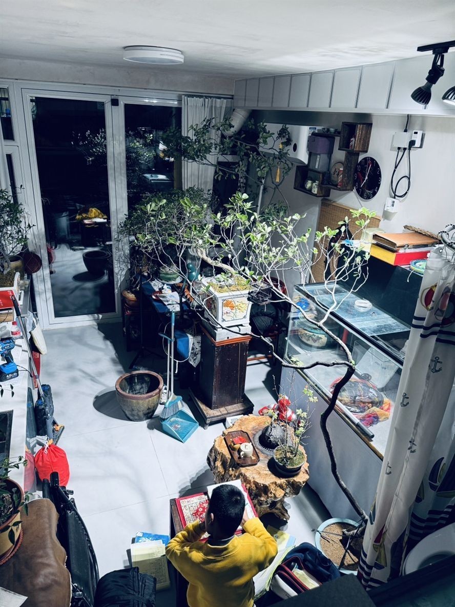 堅守愛好,于紛繁世界中,讓熱愛成為生活的至上追求 龍魚論壇 第4張 堅守愛好,于紛繁世界中,讓熱愛成為生活的至上追求 堅守愛好,于紛繁世界中,讓熱愛成為生活的至上追求 龍魚論壇 第4張