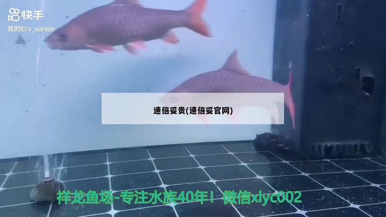倍妥貴，速倍妥官網全方位 倍妥貴，速倍妥官網全方位 速倍妥