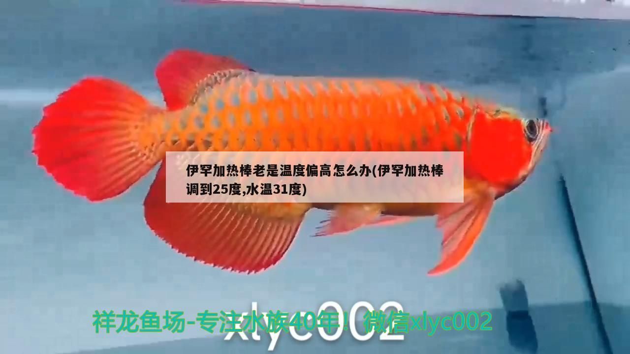 罕加熱棒調25度水溫卻31度，老是