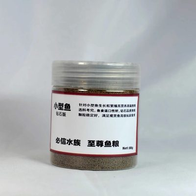 金龍魚價格揭秘，多少錢一條？