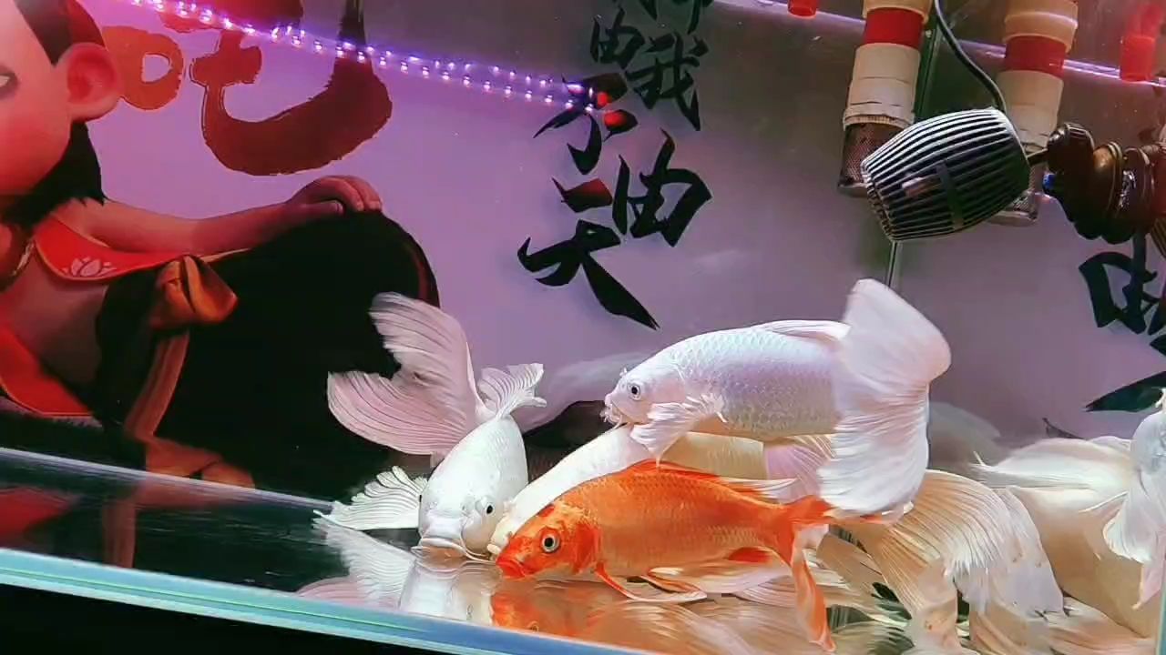 好久沒來(lái)了！重游故地，那些熟悉與陌生的交織回憶