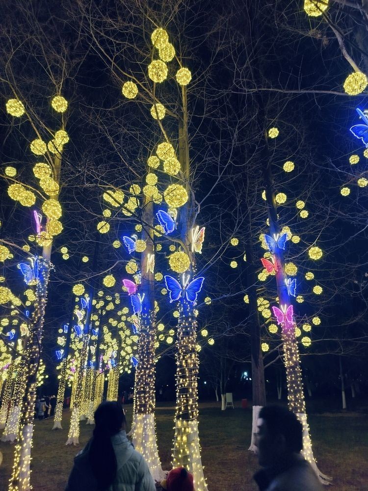 漂亮的花燈，點亮節日氛圍，綻放傳統技藝獨特魅力 漂亮的花燈，點亮節日氛圍，綻放傳統技藝獨特魅力 龍魚論壇 第1張