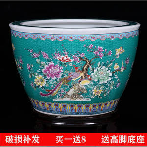 高端魚缸，品質卓越，打造極致水