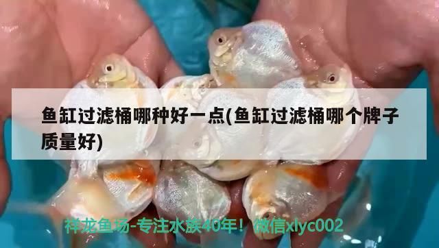 過濾桶選哪種好？