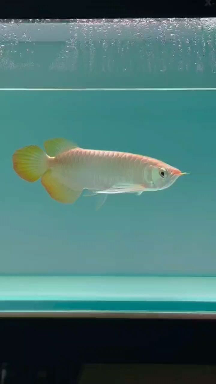 大哥們，快來(lái)給評(píng)價(jià)一下，急需你們寶貴意見(jiàn)助我
