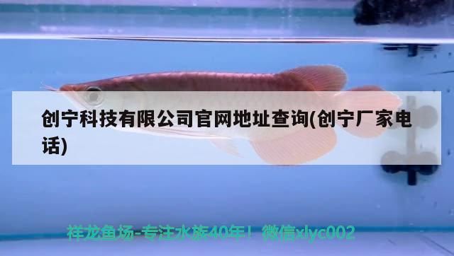 寧科技有限公司官網(wǎng)地址及廠家電話查詢，了解公司