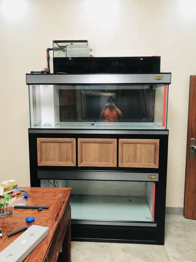 龍魚清蒸時長有講究，不同規(guī)格及器具下清