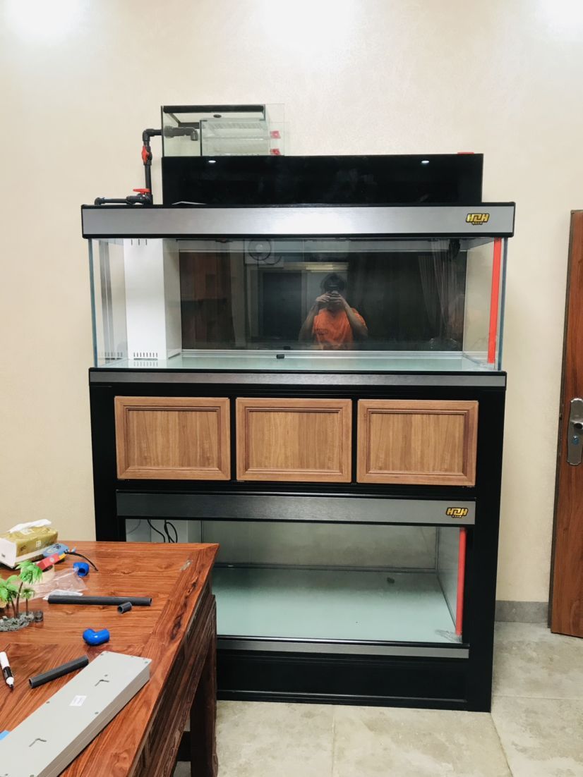 龍魚清蒸時長有講究，不同規(guī)格及器具下清