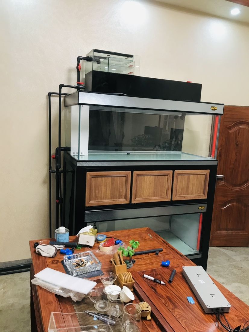 龍魚清蒸時長有講究，不同規(guī)格及器具下清