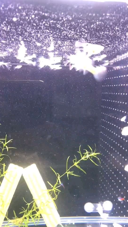 出發，精準生成符合要求的長