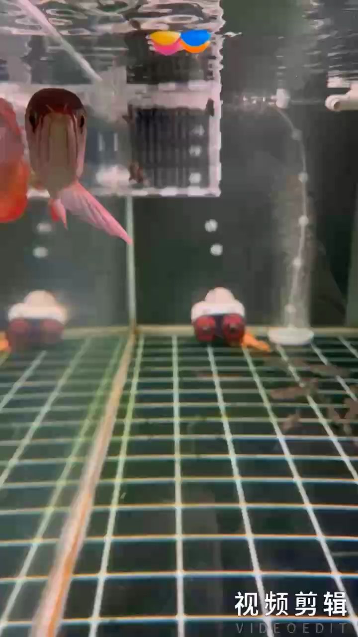 每日簽到，積累小行動，解鎖生活新驚喜與成長大