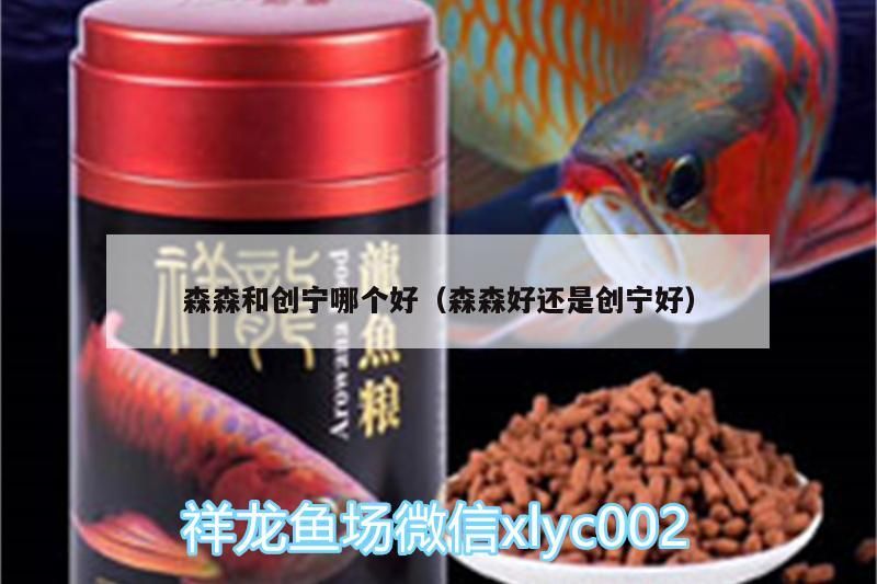 森與創寧對比，究竟哪個更優，森森好還是