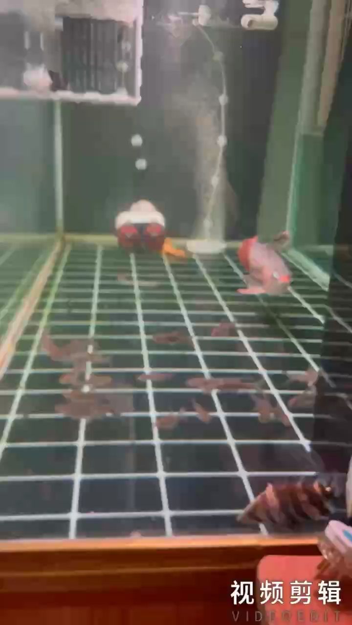 每日打卡，記錄生活點滴，見證自我成長與蛻變的堅持