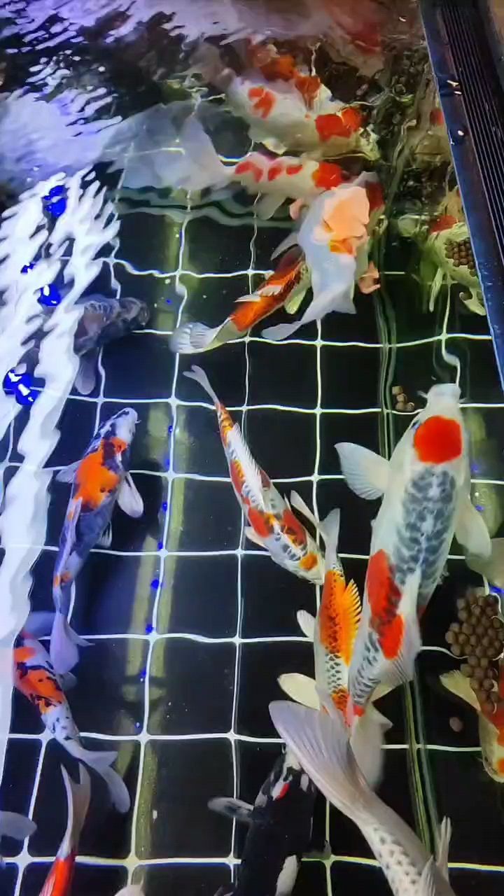 點滴，來咯來咯，那些值得