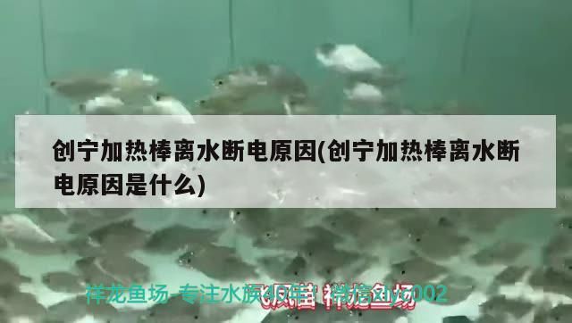 寧加熱棒離水斷電原因揭秘，安全機制與工作原理詳解 寧加熱棒離水斷電原因揭秘，安全機制與工作原理詳解 創寧水族