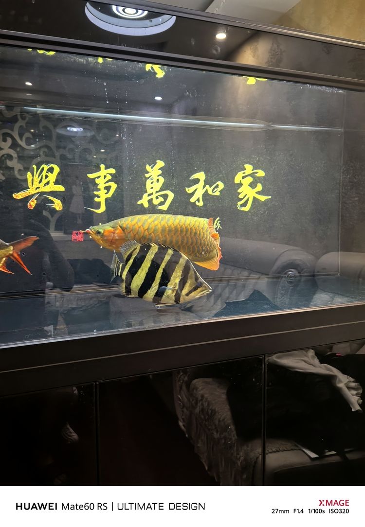 天花板，空間之上的顏值擔當與實用功能奧秘解析