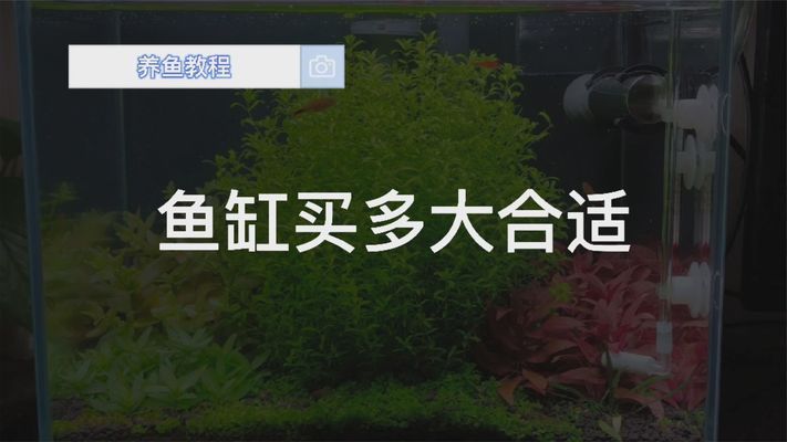 虎魚天天黑來點(diǎn)赤瞳黃金 魚匠水泵er05使用及常見問題 老魚匠 魚匠水泵er05使用及常見問題 魚匠水泵er05使用及常見問題 老魚匠