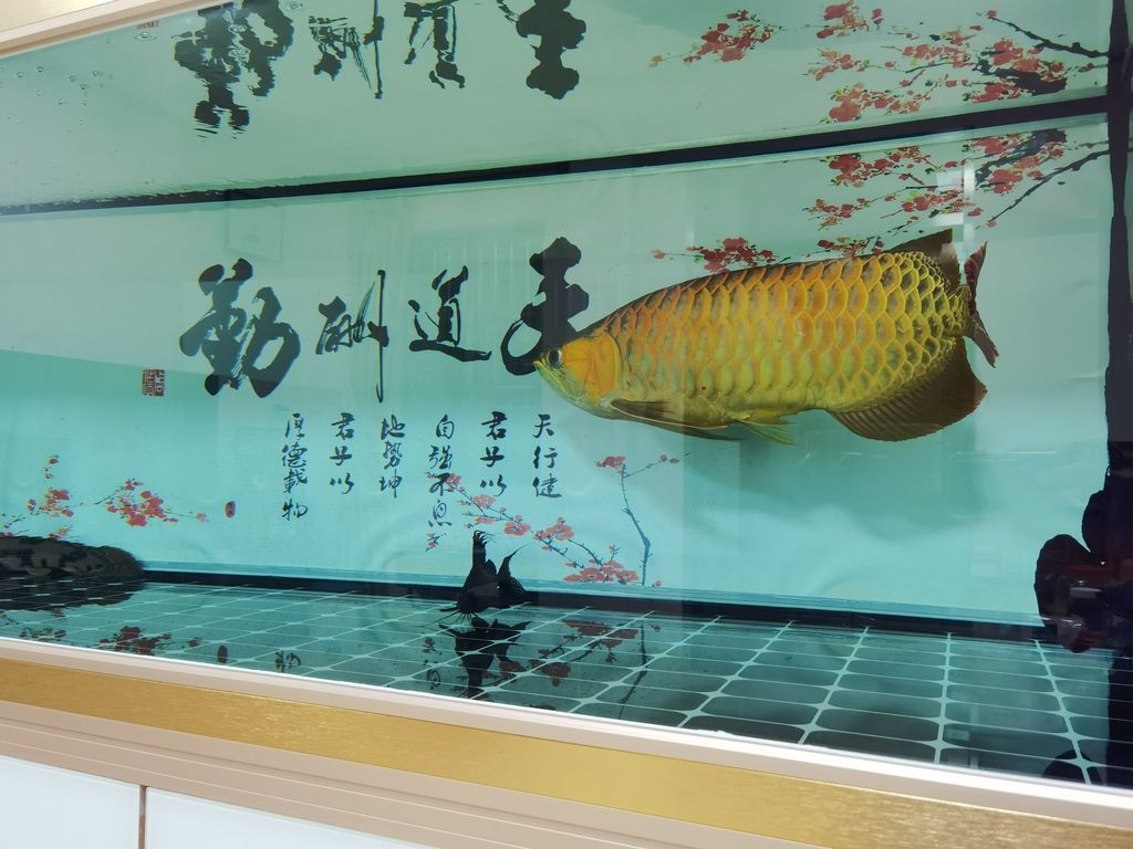 核心關(guān)鍵詞]，深度剖析其[相關(guān)特征或影響]，探尋背后奧秘 核心關(guān)鍵詞]，深度剖析其[相關(guān)特征或影響]，探尋背后奧秘 龍魚(yú)論壇