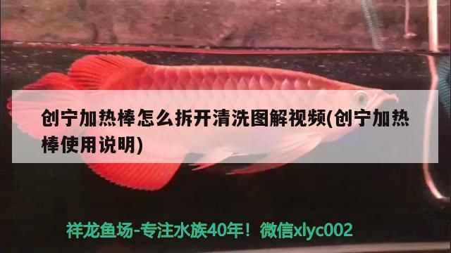 寧加熱棒拆洗圖解視頻及