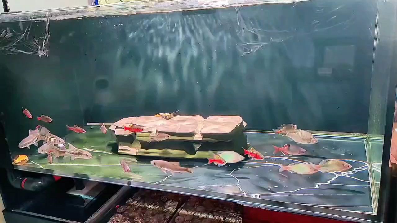 新年好，辭舊迎新，共赴新程，同慶佳節祈愿美好未來
