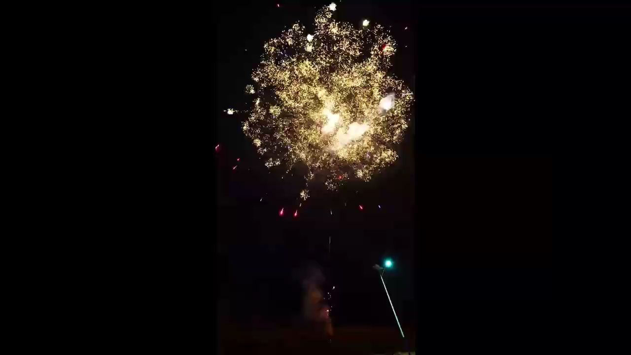 魚玩送祝福，祝?大家新年快樂，愿新歲