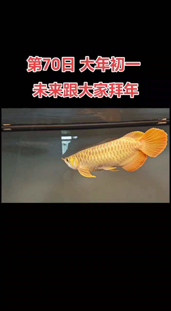 [具體人物]的奇妙冒險，探索未知，解鎖神秘寶藏