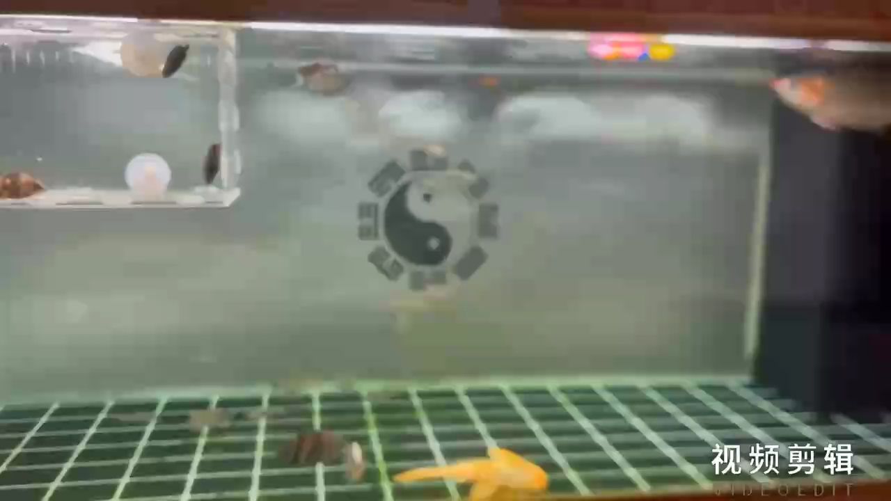 每日簽到，積跬步至千里，點滴積累成就非凡之旅