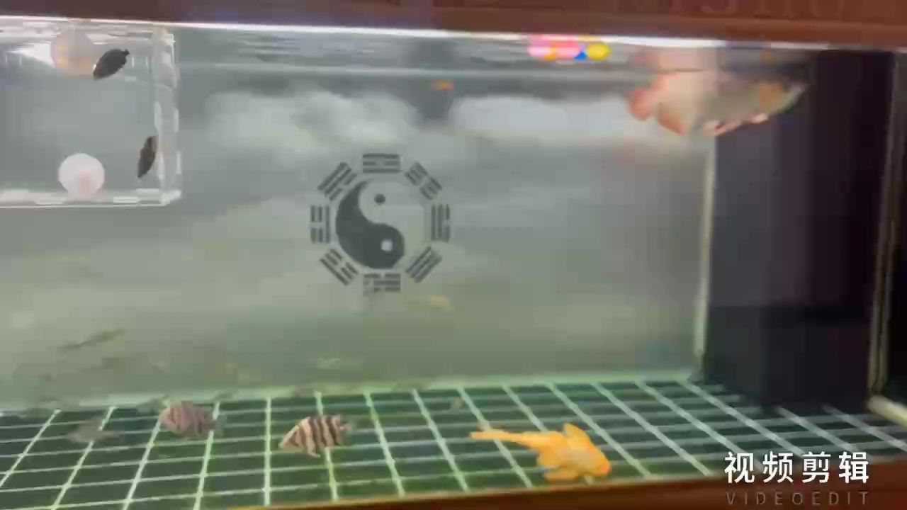 每日打卡，記錄點滴進步，見證堅持