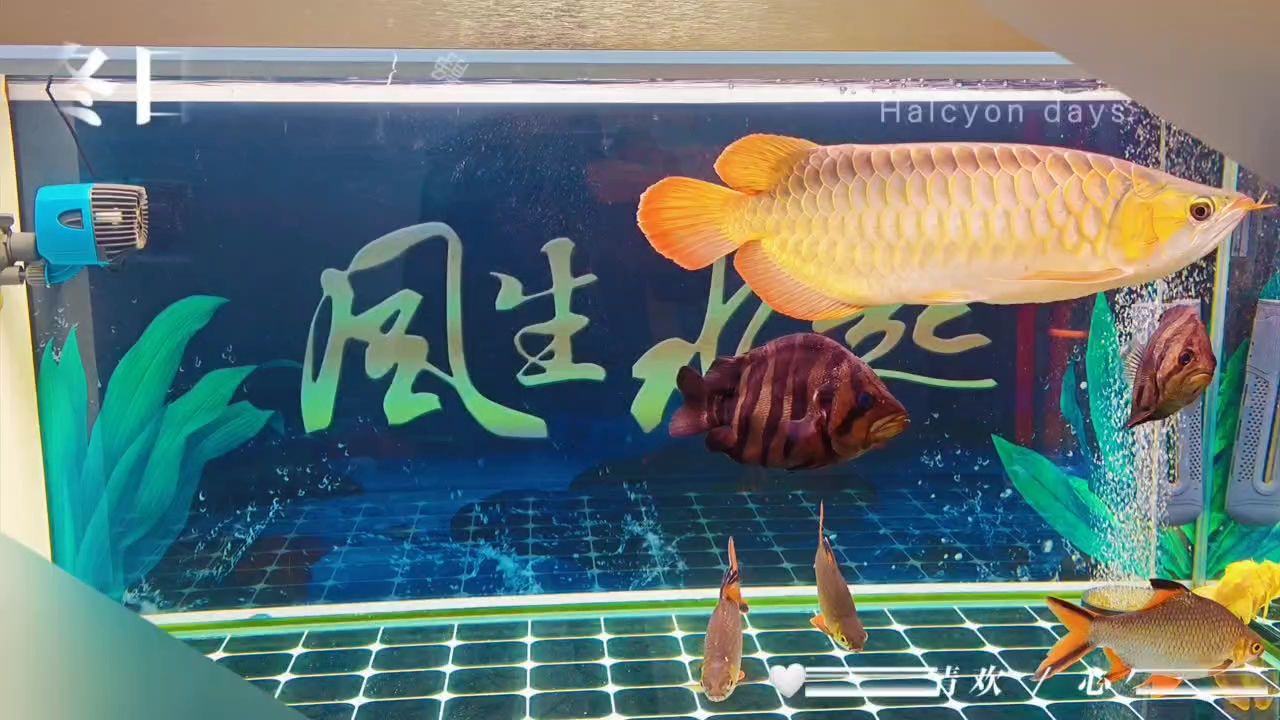龍賀歲新程啟，瑞氣盈門福滿來，萬象煥彩迎新年