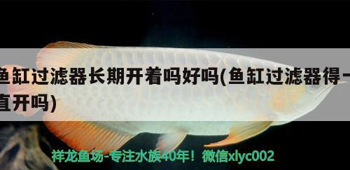 專用攝像頭與普通區(qū)別在哪？