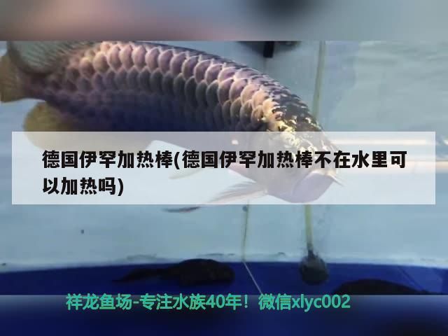 伊罕加熱棒使用疑問，不在水里能否正常加熱？ 伊罕加熱棒使用疑問，不在水里能否正常加熱？ 伊罕水族
