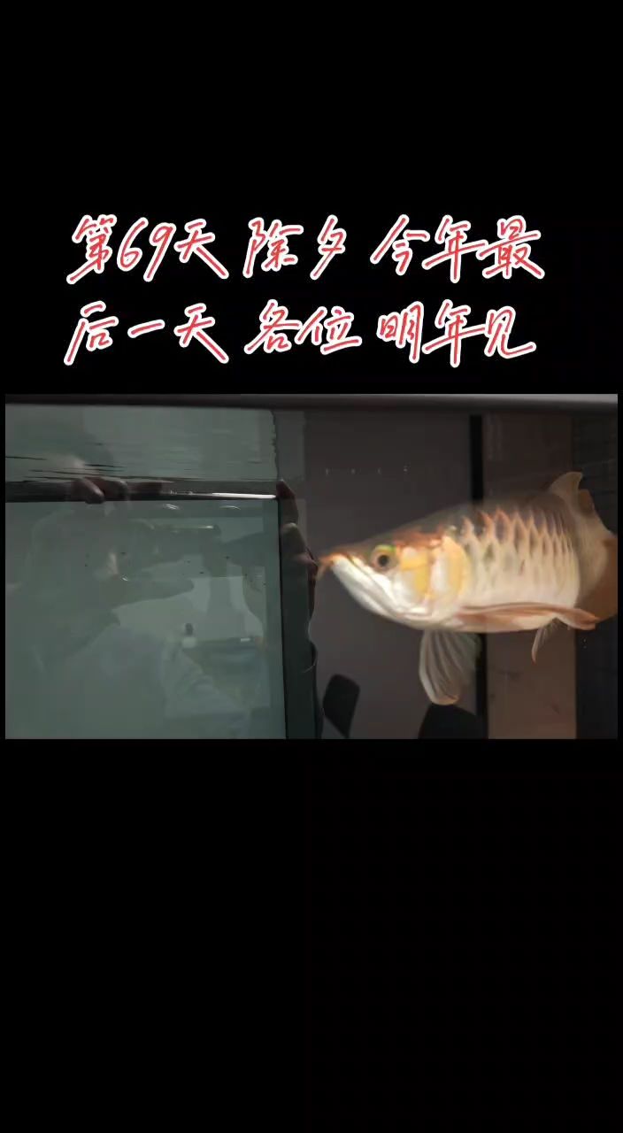 從歷史到現(xiàn)代，探尋[具體內(nèi)容]的發(fā)展脈絡(luò)與多元影響