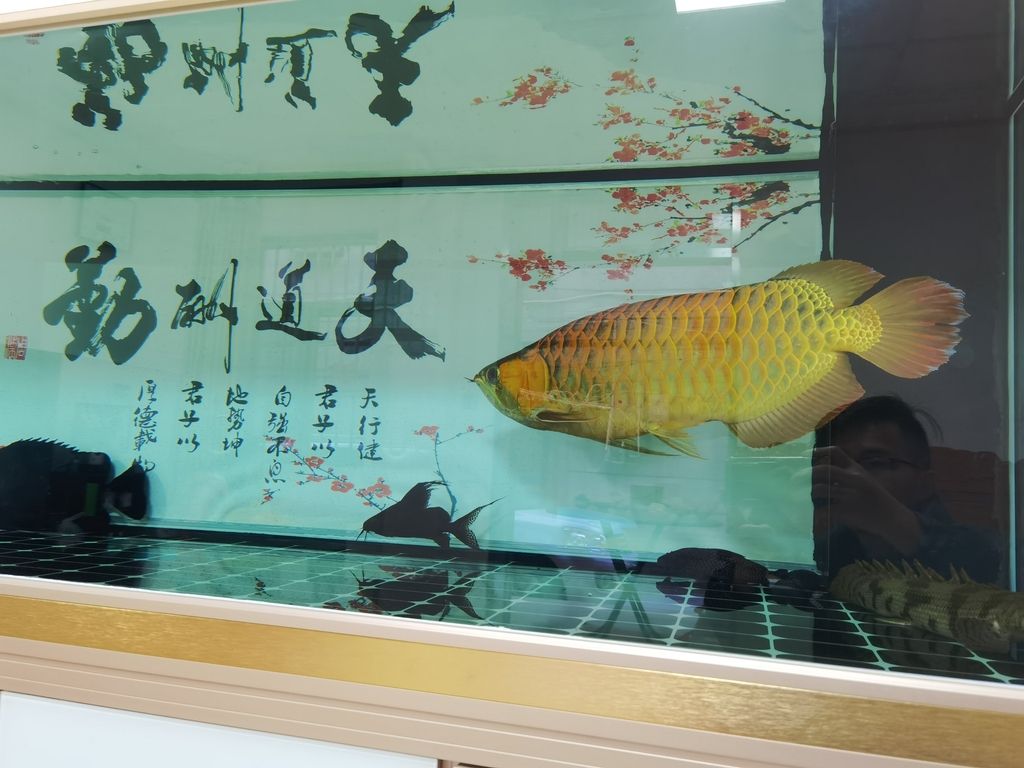 你未提供具體內(nèi)容，以下是一個示例長標題，