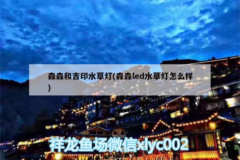 森與吉印水草燈對比，森森led水草