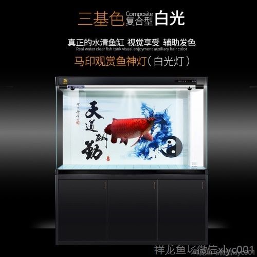 印龍魚增艷燈系列，亮彩、紅龍及